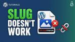 Plugin_Dir_Url( __File__ ) Not Working in My Wordpress Plugin Development