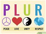 Plur Meaning