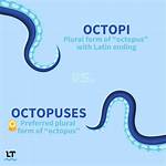 Plural for Octopus