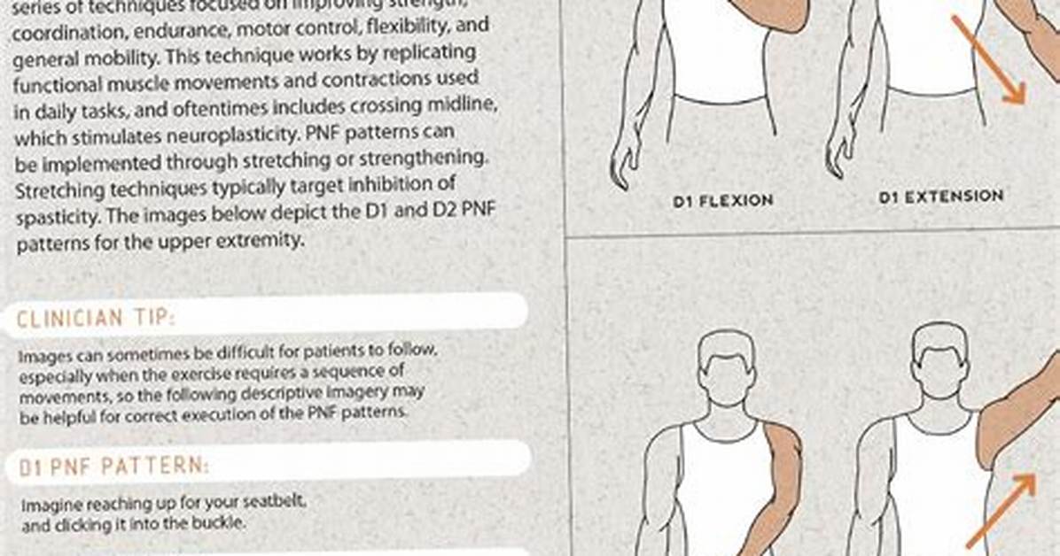 Pnf Patterns Upper Extremity