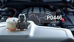 Po446 Code