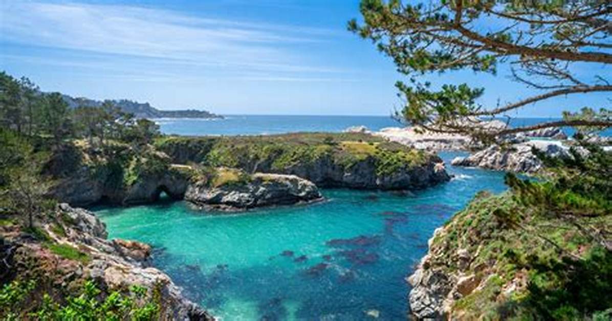 Point Lobos Loop Trail