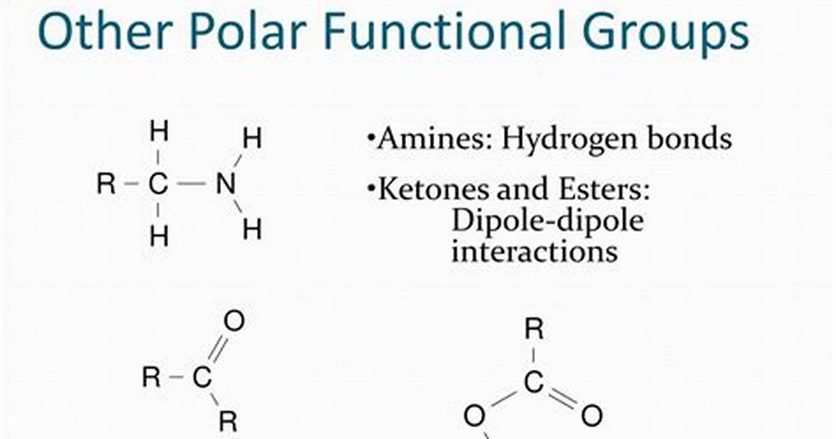 Polar Functional Groups