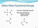 Polar Functional Groups