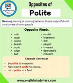 Polite Opposite