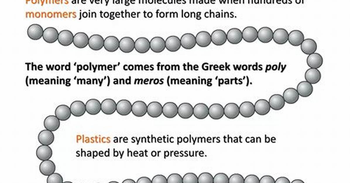 Poly Meaning