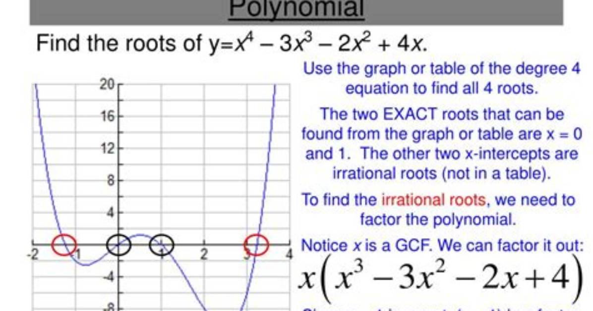 Polynomial Root Finding