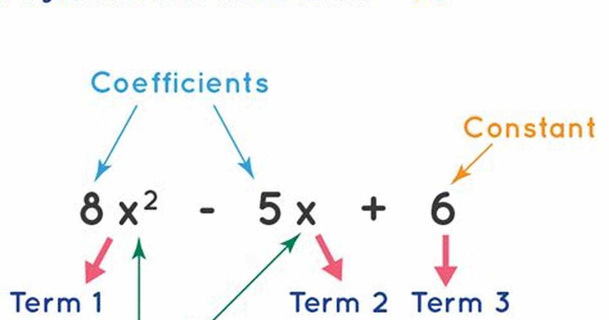 Polynomial Terms