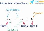 Polynomial Terms