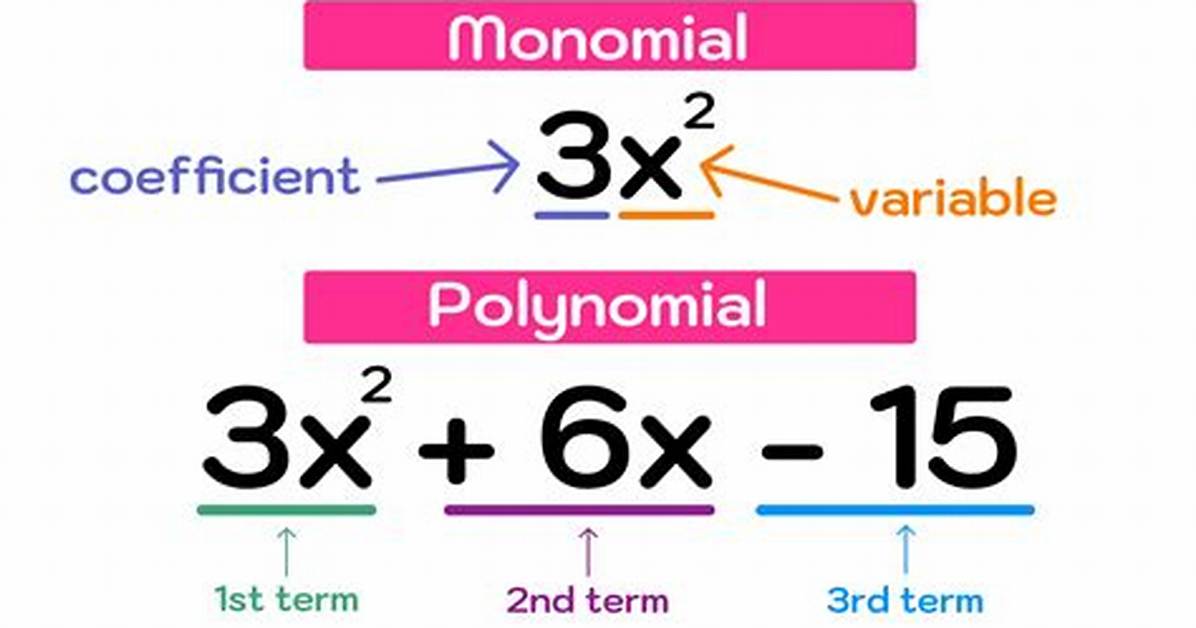 Polynomial