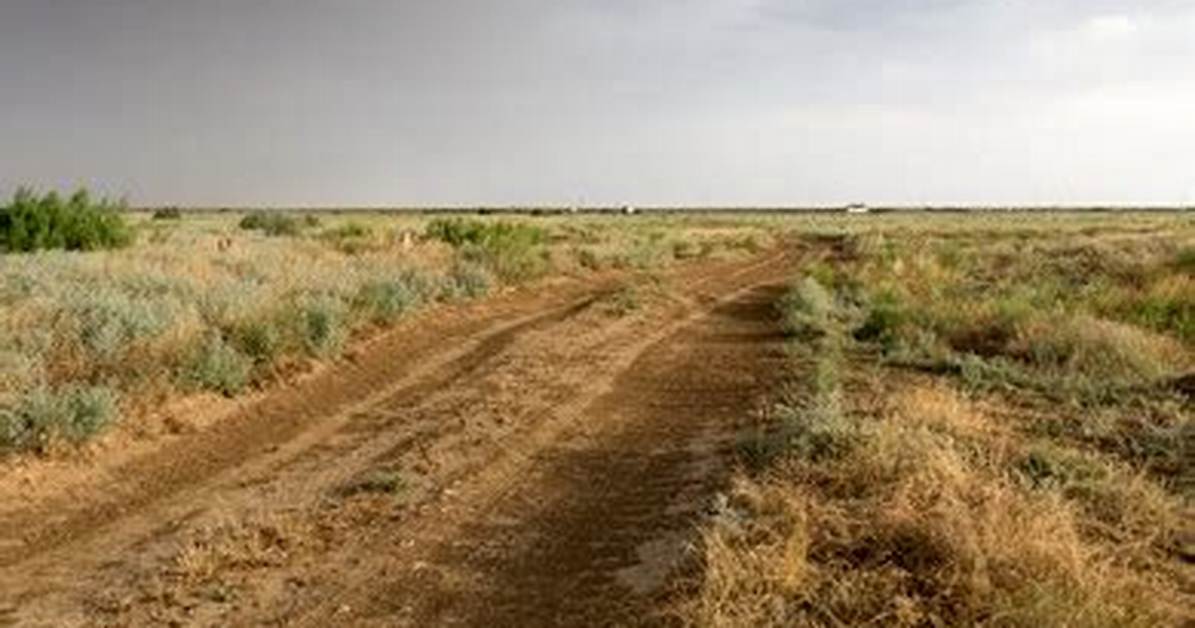Post-Rain Dirt