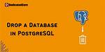 Postgresql: Drop Postgresql Database Through Command Line [Closed]