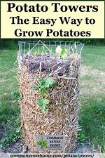 Potato Tower