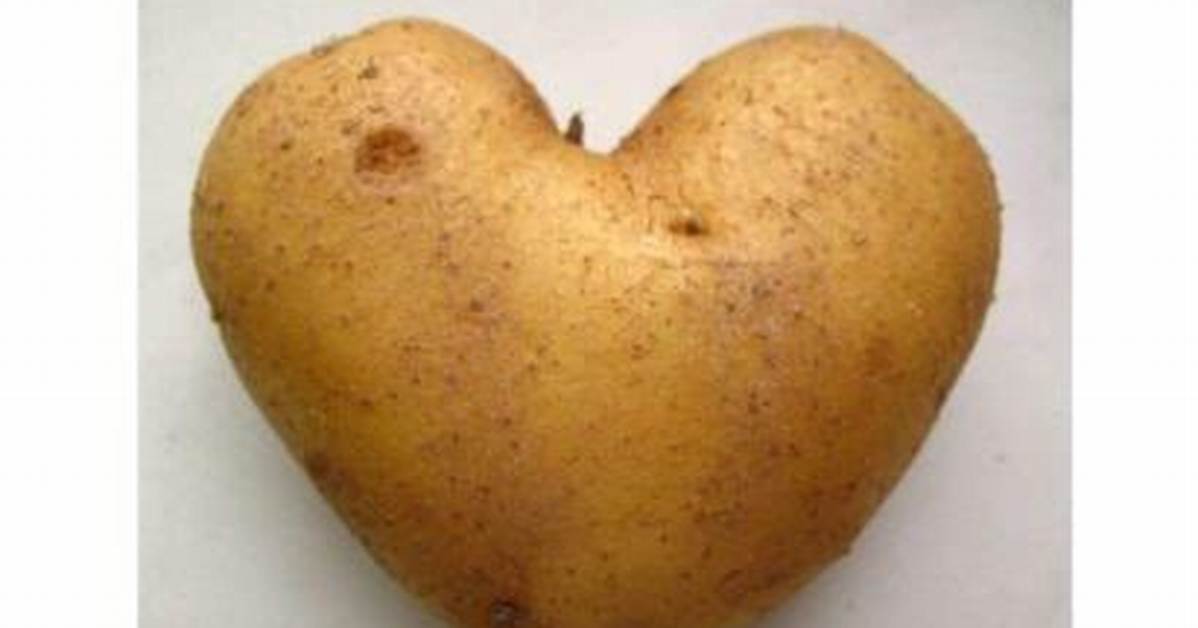 Potatoes Cholesterol