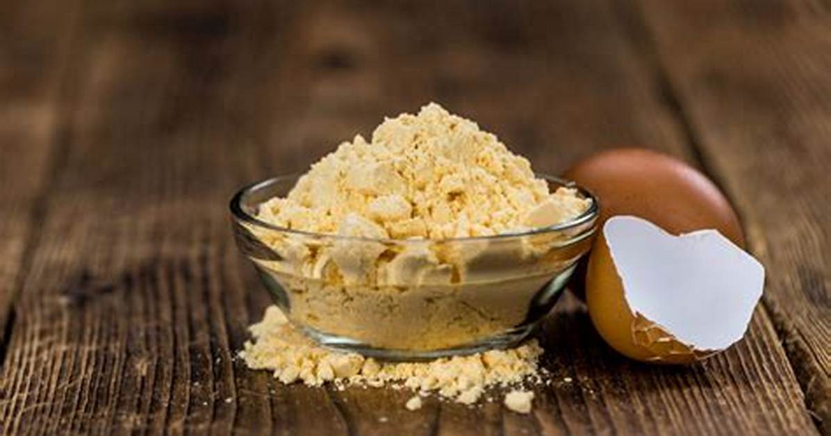 Powdered Egg