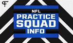 Practice Squad Salary