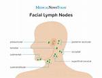 Preauricular Lymph Nodes