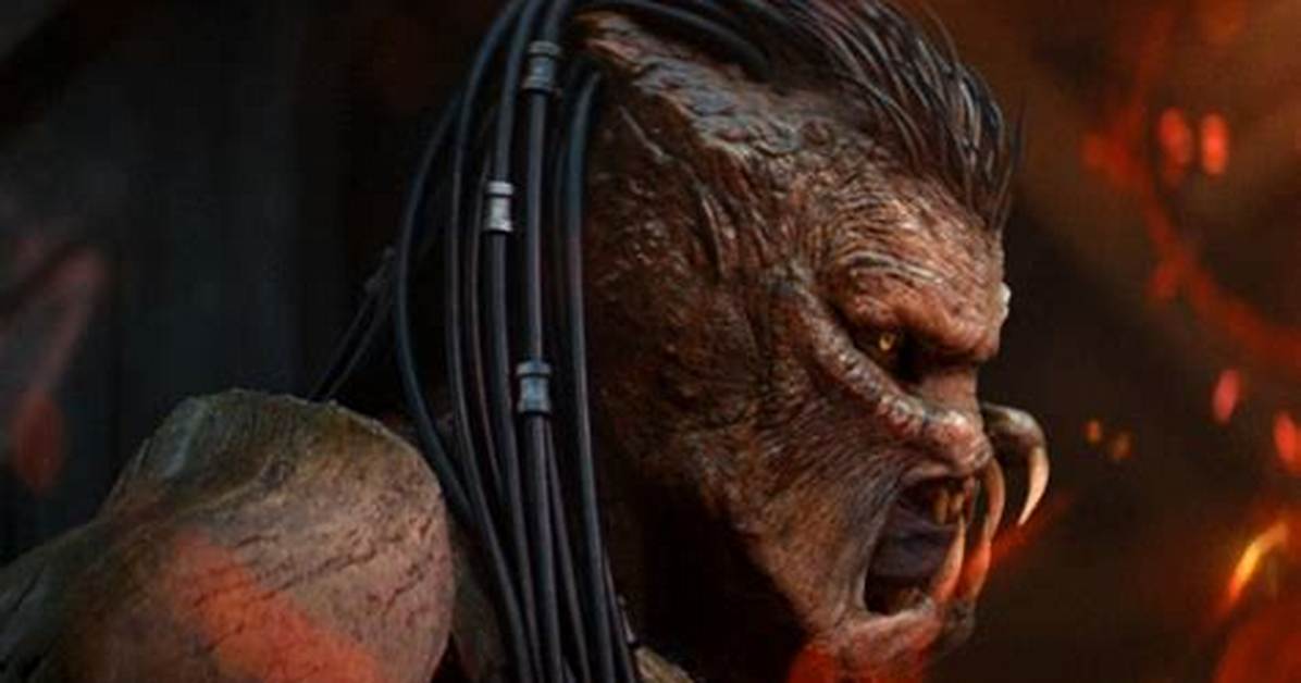 Predator's Catch