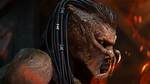 Predator's Catch