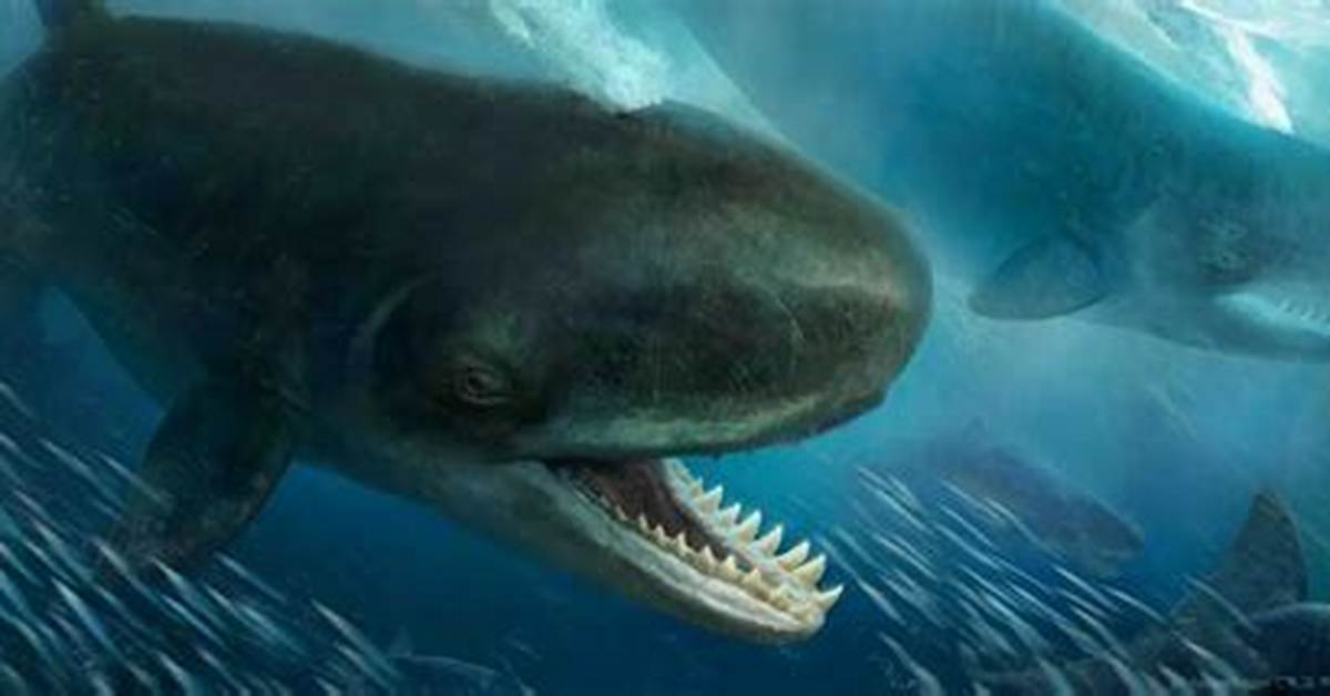 Predatory Whale