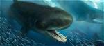 Predatory Whale