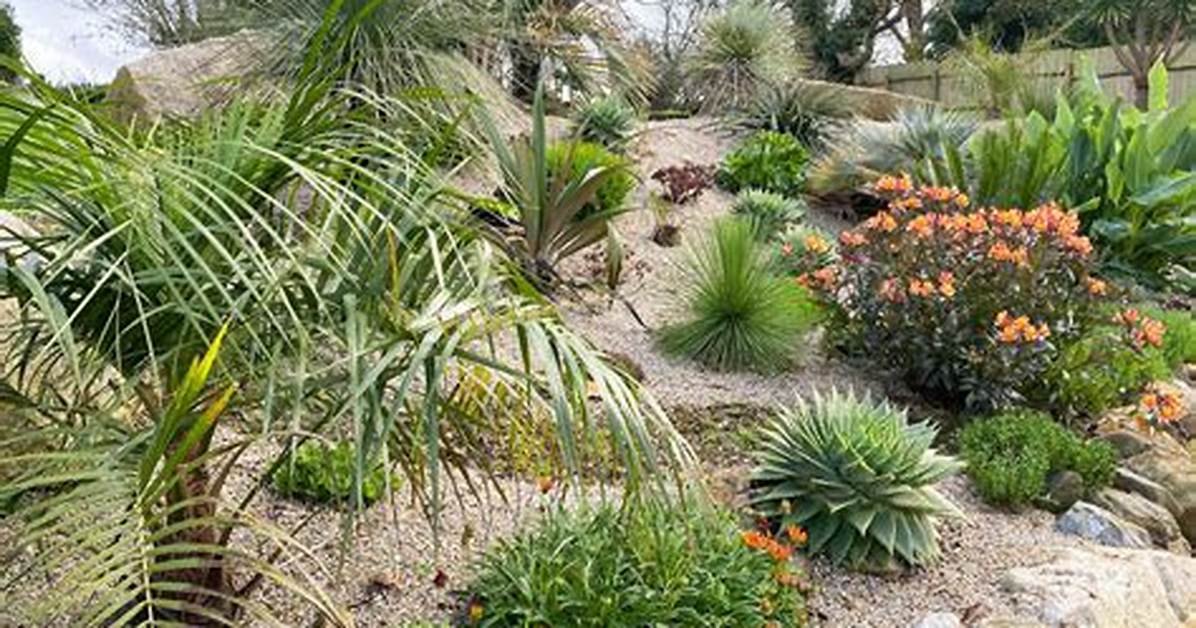 Primal Plants