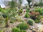 Primal Plants