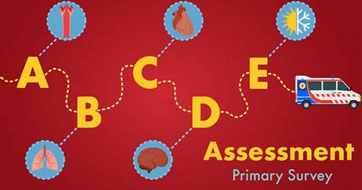 Primary Assessment