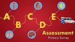 Primary Assessment