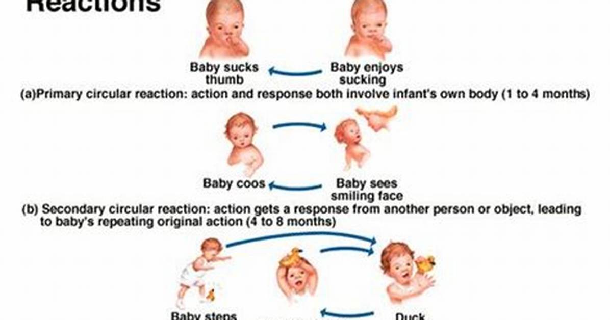 Primary Circular Reaction