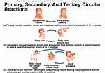 Primary Circular Reaction