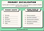 Primary Socialization Examples