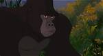Primate in Tarzan