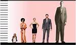 Prince Height