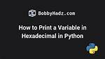 Print a Variable in Hexadecimal in Python