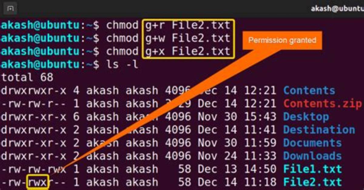 Problem with Chmod Command