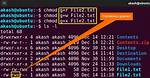 Problem with Chmod Command