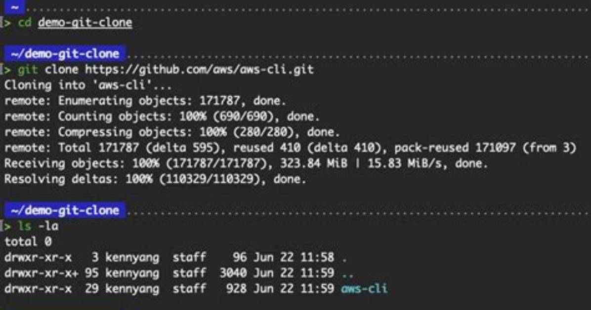 Problems with Git Clone