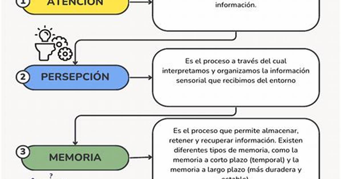 Procesos Psicologicos Basicos