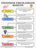 Procesos Psicologicos Basicos