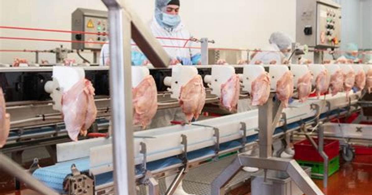 Processed Chicken