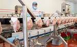 Processed Chicken