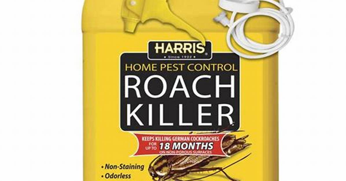 Professional Roach Killer
