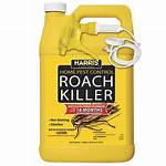 Professional Roach Killer
