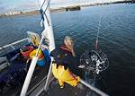 Programme | Mtec: Marine Technology Education Consortium
