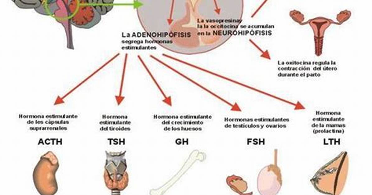 Prolactinemia