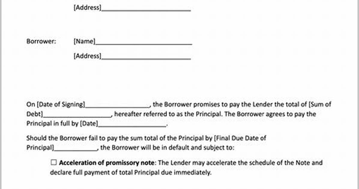 Promissory Notes