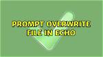 Prompt Overwrite File in Echo