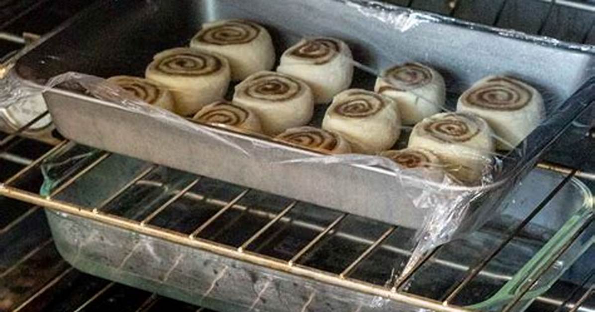 Proofing Oven