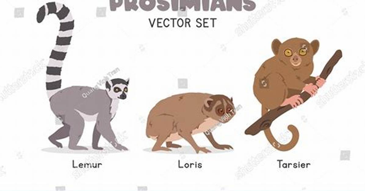 Prosimians